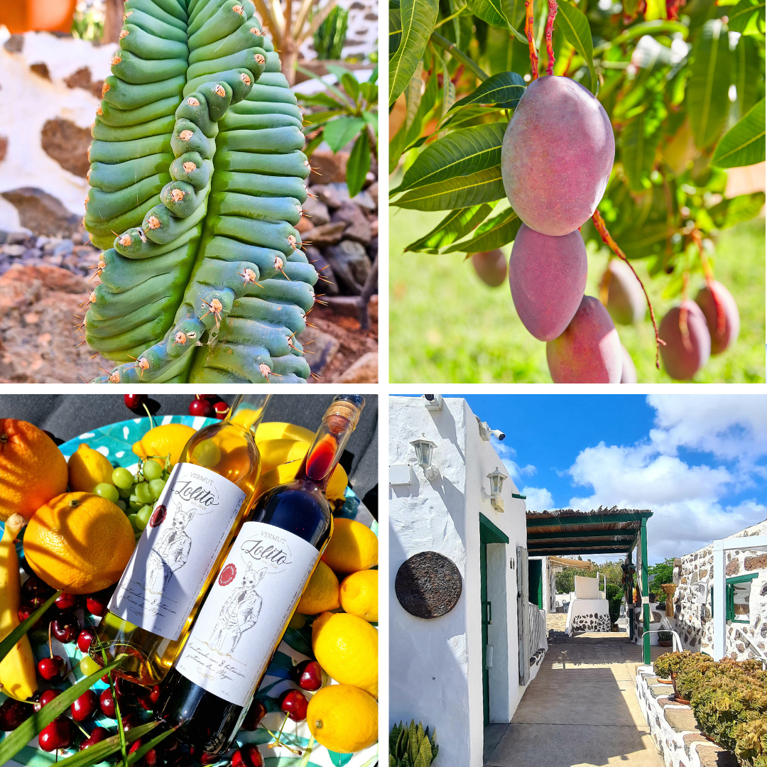 Private tasting tours and excursions